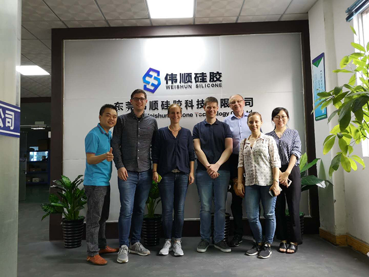 德國客戶來丝瓜视频污版在线參觀洽談業務